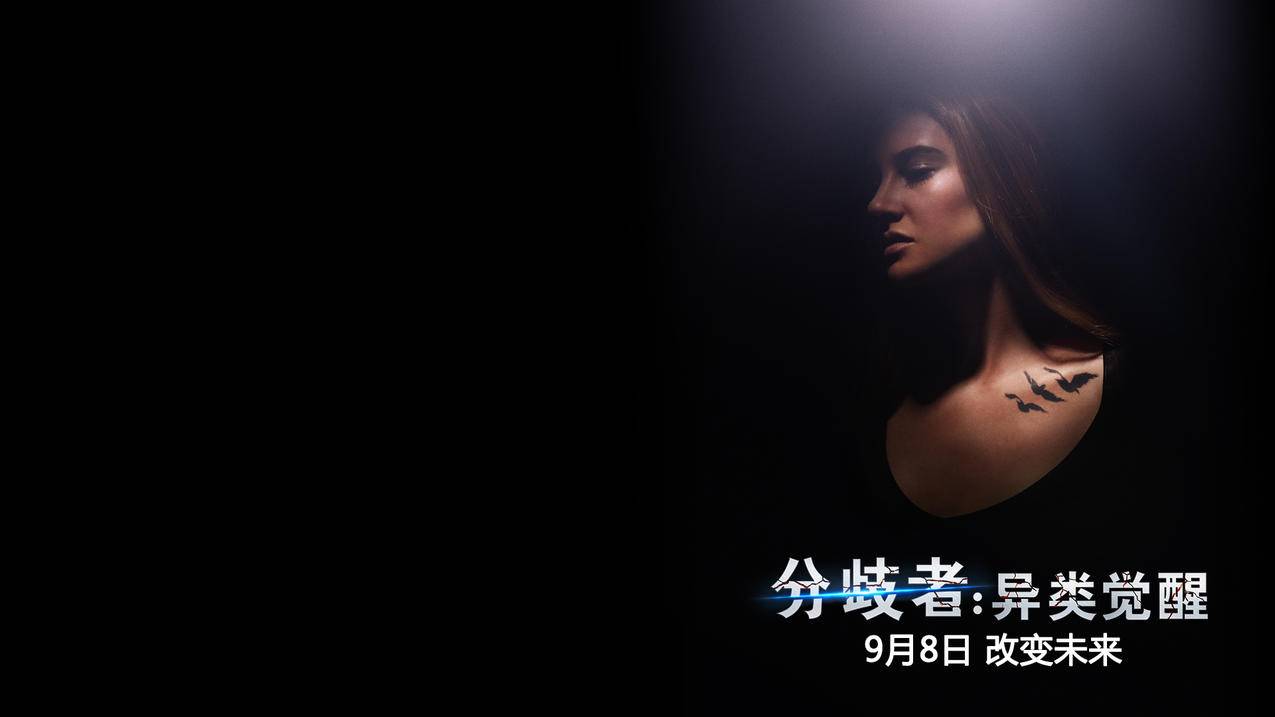 ks粉丝业务网站-影视会员批发一手货源-快手点赞0.01一千个赞-ks自助下单网站